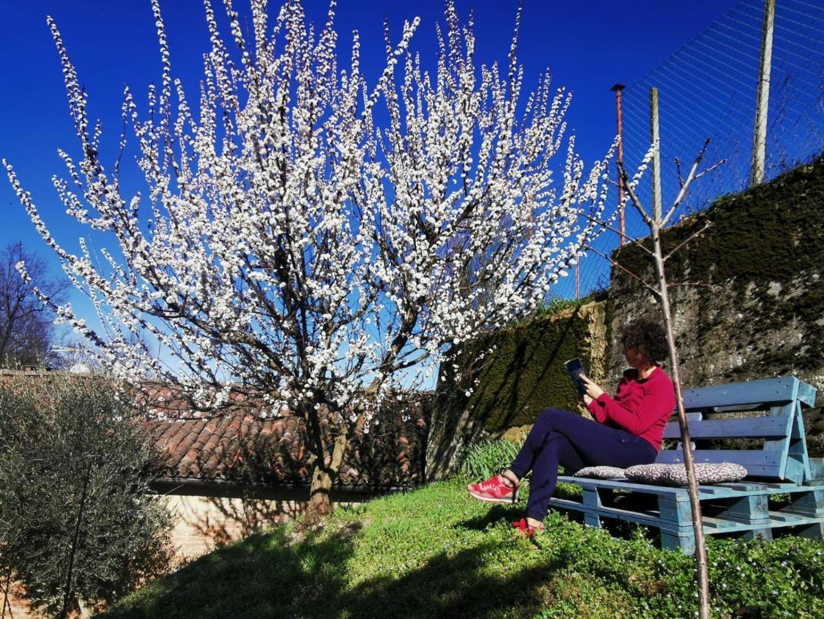 Casa Graziella- Appartamenti Vacanze Portacomaro Luaran gambar